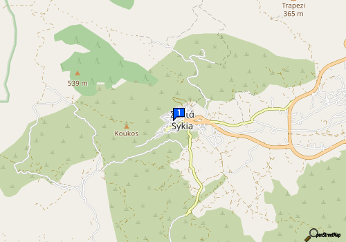 company map