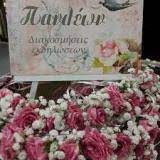 ΦΥΤΩΡΙΟ ΑΝΘΗ ΦΥΤΑ ΠΑΝΘΕΩΝ ΑΙΑΝΤΕΙΟ ΣΑΛΑΜΙΝΑ ΓΡΥΜΠΙΛΑΚΟΥ ΕΛΙΣΑΒΕΤ