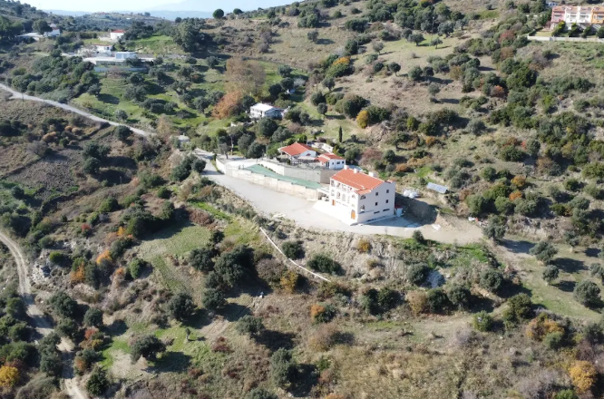ΓΥΝΑΙΚΕΙΑ ΚΟΙΝΟΒΙΑΚΗ ΙΕΡΑ ΜΟΝΗ ΑΓΙΟΥ ΑΝΤΩΝΙΟΥ ΑΧΛΑΔΕΡΗΣ ΑΥΛΩΝΑΡΙ ΕΥΒΟΙΑΣ