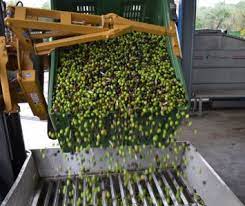 ΕΛΑΙΟΤΡΙΒΕΙΟ ΠΑΡΑΓΩΓΗ ΕΛΑΙΟΛΑΔΟΥ ΦΙΛΙΑΤΡΑ ΜΕΣΣΗΝΙΑ ΠΑΝΑΓΙΩΤΟΠΟΥΛΟΣ ΝΙΚΟΛΑΟΣ