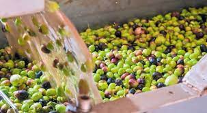 ΕΛΑΙΟΤΡΙΒΕΙΟ ΛΙΟΤΡΙΒΙ ΒΥΤΙΝΑΙΙΚΑ ΠΥΡΓΟΣ ΗΛΕΙΑ ΜΠΕΛΜΠΑΣ ΚΩΝΣΤΑΝΤΙΝΟΣ