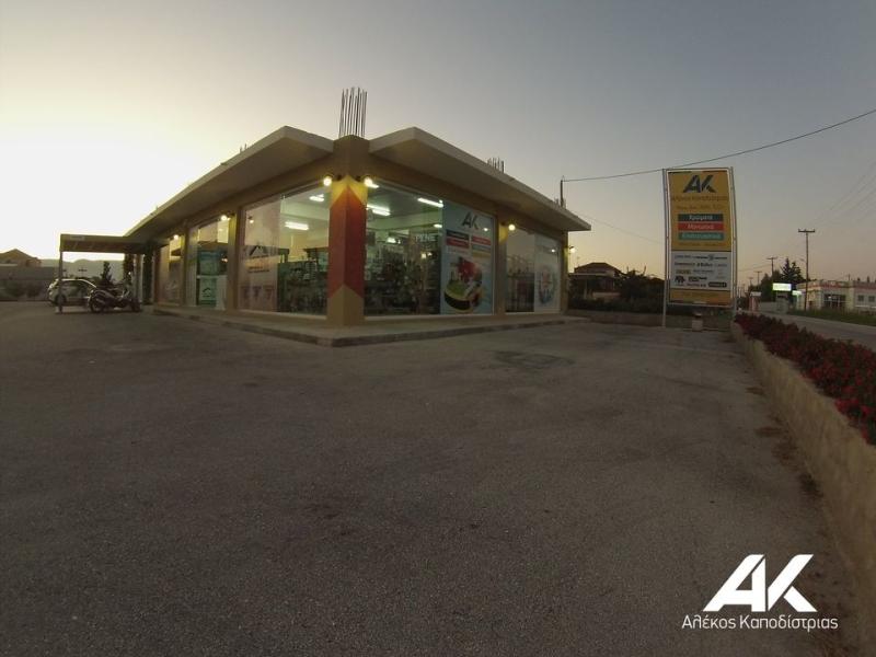 ΧΡΩΜΑΤΑ ΒΕΡΝΙΚΙΑ ΣΑΡΑΚΙΝΑΔΟ ΖΑΚΥΝΘΟΣ ΚΑΠΟΔΙΣΤΡΙΑΣ ΑΛΕΞΑΝΔΡΟΣ